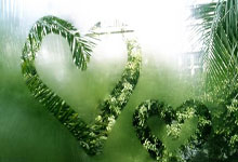 开云体育在线-武切维奇，当巴尔干风暴席卷天山，一个巨人的篮球哲学正在重塑疆辽之争